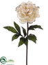 Silk Plants Direct Peony Spray - Ivory - Pack of 12