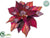 Poinsettia - Purple - Pack of 12