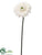 Velvet Mini Gerbera Daisy Spray - White - Pack of 12