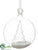 Ball, Tree Ornament - Clear - Pack of 2