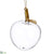 Glass Apple Ornament - Clear Gold - Pack of 6