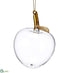 Silk Plants Direct Glass Apple Ornament - Clear Gold - Pack of 6