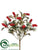 Holly Bush - Red - Pack of 12