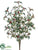 Holly Bush - Gold Green - Pack of 12