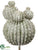 Barrel Cactus Pick - Green Gray - Pack of 1