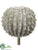 Barrel Cactus Pick - Green Gray - Pack of 4