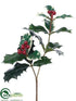 Outdoor Holly Pick - Green Variegated - Pack of 36