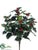 Outdoor Holly Bush - Green Variegated - Pack of 6