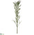 Brunia Spray - Gray Green - Pack of 12