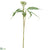 Iced Eucalyptus Spray With Seeds - Green Ice - Pack of 12