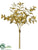 Sage Bundle - Gold - Pack of 24