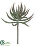 Silk Plants Direct Aeonium Spray - Burgundy Green - Pack of 24