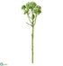 Silk Plants Direct Iced Sedum Spray With Bloom - Green Ice - Pack of 12