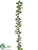 Holly Garland - Green Variegated - Pack of 6