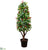 Laurel With Berry Topiary Tree - Green Red - Pack of 1