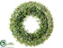 Silk Plants Direct Icy Boxwood Wreath - Green Light - Pack of 4