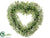 Iced Heart Boxwood Wreath - Green Light - Pack of 4