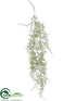 Silk Plants Direct Frosted Hanging Reindeer Moss Spray - Green - Pack of 12