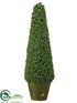 Silk Plants Direct Glittered Mini Seed Cone Topiary - Green - Pack of 2