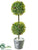 Iced Boxwood Two Ball Topiary - Green White - Pack of 6