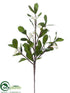 Silk Plants Direct Mistletoe Pick - Cream Green - Pack of 6