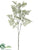 Artemisia Spray - Green Ice - Pack of 12