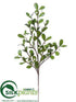 Silk Plants Direct Mistletoe Spray - Cream Green - Pack of 6