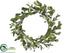 Silk Plants Direct Mistletoe Wreath - Cream Green - Pack of 1