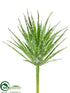 Silk Plants Direct Marginata Pick - Green Glittered - Pack of 36