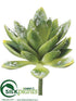 Silk Plants Direct Echeveria Pick - Green Ice - Pack of 12