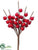 Berry Pick - Red Shiny - Pack of 48