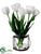 Tulip - White - Pack of 4