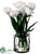 Tulip - White - Pack of 4