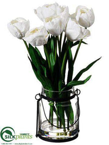 Tulip - White - Pack of 4