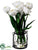 Tulip - White - Pack of 4