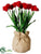 Tulip - Red - Pack of 4