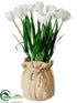 Silk Plants Direct Tulip - White - Pack of 4