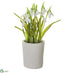 Silk Plants Direct Snowdrop - White - Pack of 6