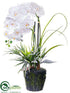 Silk Plants Direct Phalaenopsis Orchid Plant - White - Pack of 2