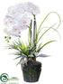 Silk Plants Direct Phalaenopsis Orchid Plant - White - Pack of 2