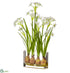 Silk Plants Direct Paperwhite - White - Pack of 2