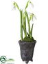 Silk Plants Direct Snowdrop - White - Pack of 6