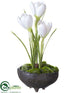 Silk Plants Direct Crocus - White - Pack of 6