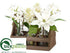 Silk Plants Direct Poinsettia, Paperwhite, Hyacinth - White - Pack of 2