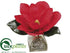 Silk Plants Direct Magnolia - Red - Pack of 6