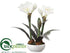 Silk Plants Direct Amaryllis, Pine - White Snow - Pack of 4