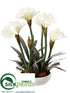Silk Plants Direct Amaryllis, Pine - White Snow - Pack of 2