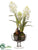 Hyacinth - White - Pack of 4