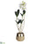 Star Cattleya Orchid Plant - White - Pack of 2