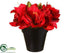 Silk Plants Direct Amaryllis - Red - Pack of 3